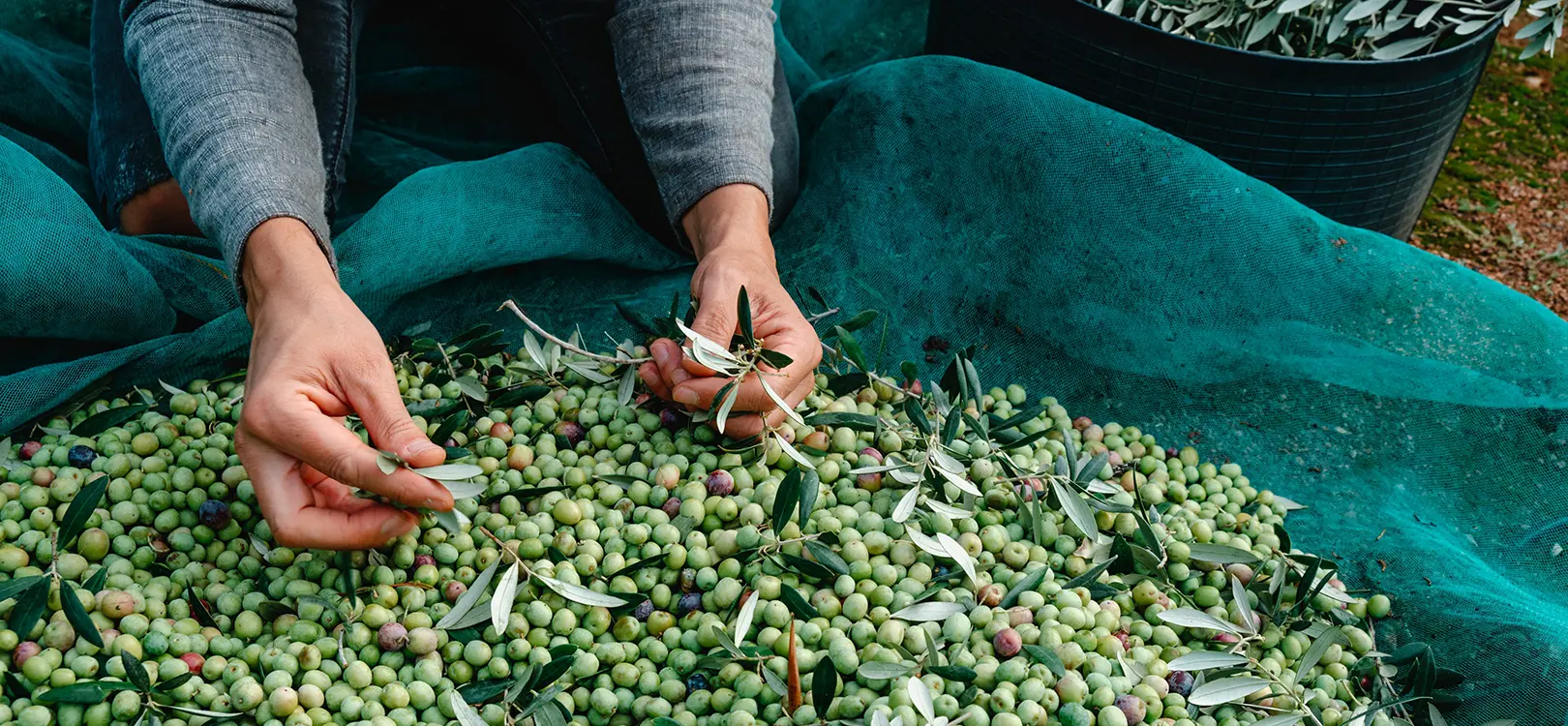 03 - Cura e attenzione artigianali