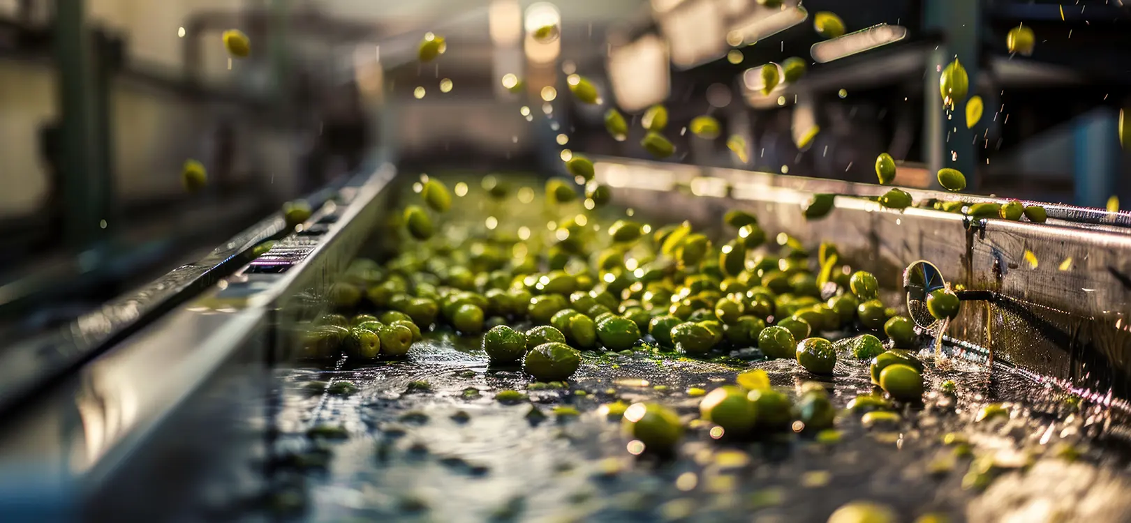 02 - Spremitura locale a freddo